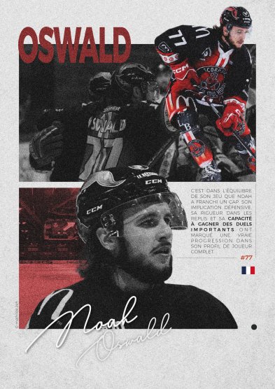 Scorpions D2 - Clap de fin pour cette saison 2025/2026