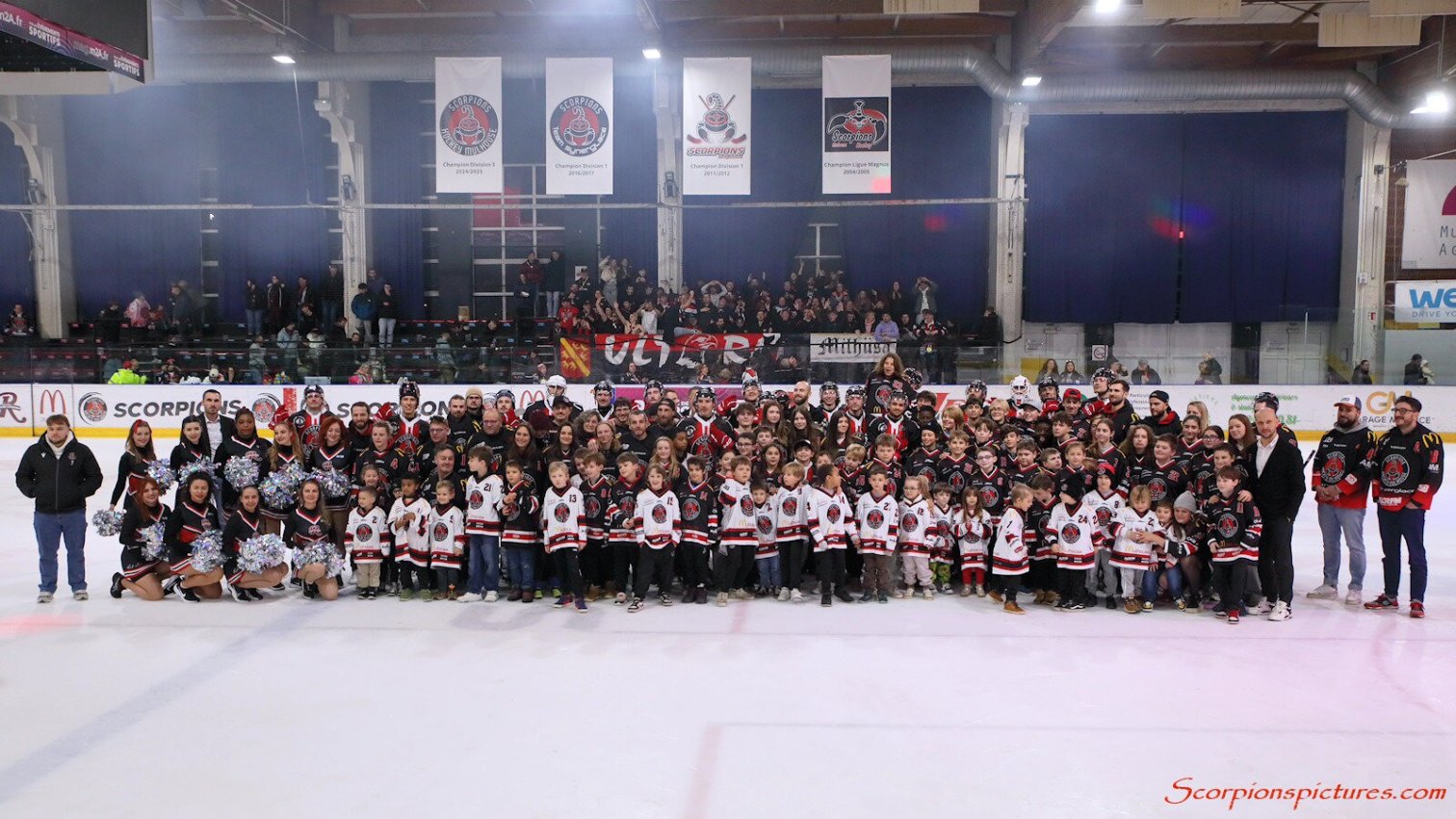 Scorpions de Mulhouse